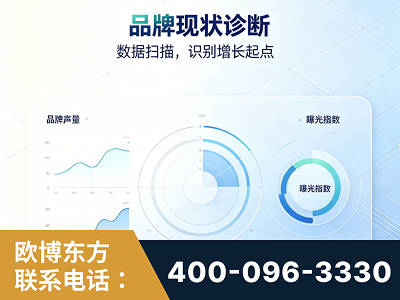 中卫-品牌现状诊断